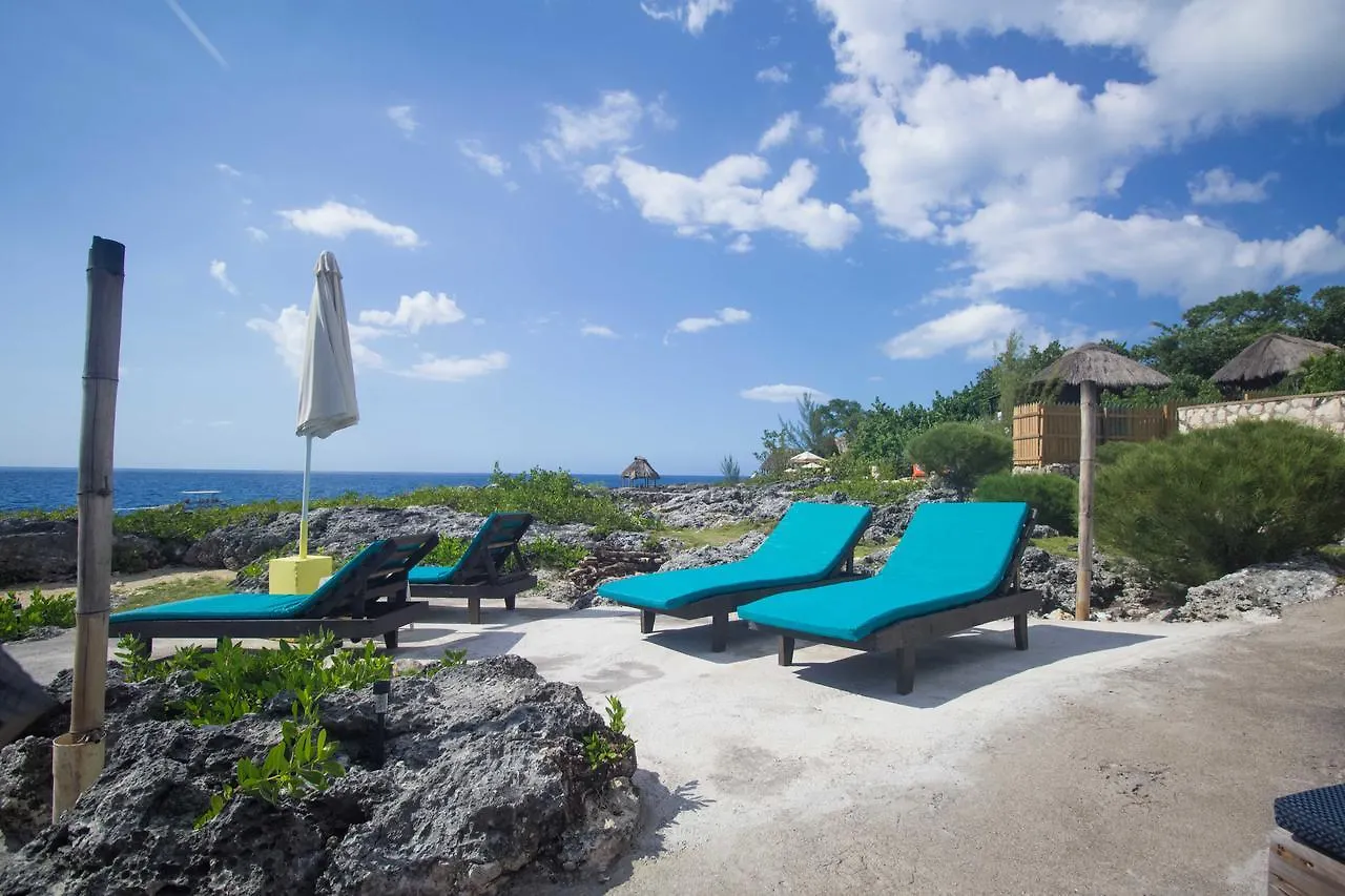 Holiday home Sea Breeze Studio #1 Negril